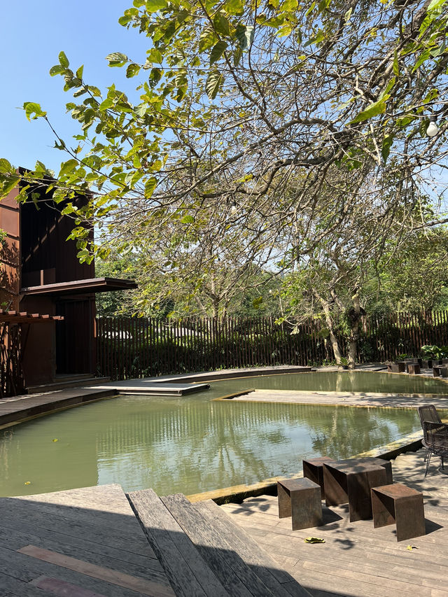 คาเฟ่ลับกลางป่าSOP Cafe #โพธาราม 🌿🥤🌊🧉 