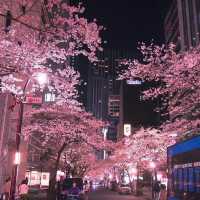 N Seoul Tower (Seoul)