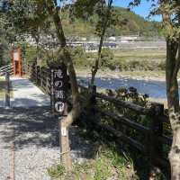 【おんせん県おおいた】美しい花手水に癒される嵐山瀧神社&三日月の滝