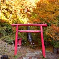 【千葉県】関東市遅い紅葉スポット！養老渓谷