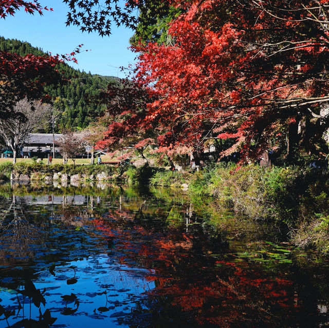  Monet's pond