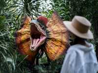Dino Park Phuket บุกแดนจูราสสิคที่ภูเก็ต 