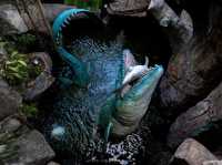 Dino Park Phuket บุกแดนจูราสสิคที่ภูเก็ต 