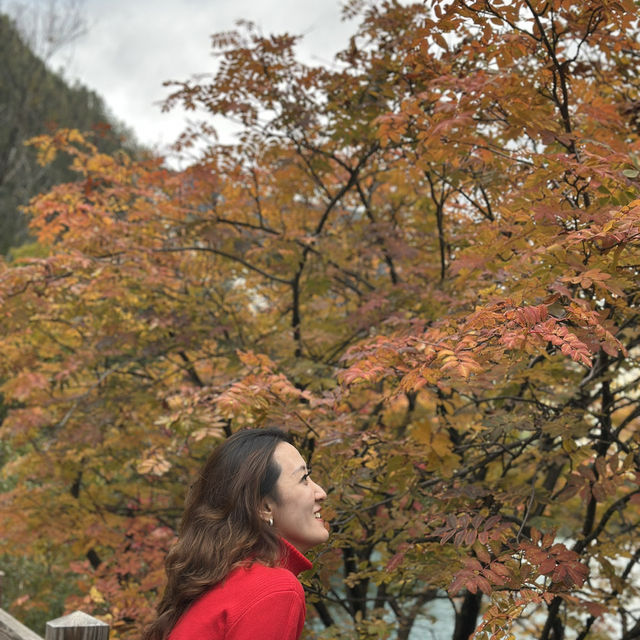 Chengdu A place that you will definitely visit again 