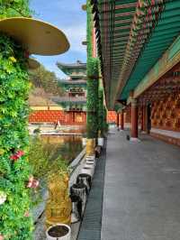겨울 빙벽도 볼수 있는 영천 만불사🪷