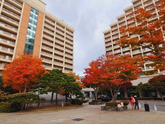 A mighty foliage scene at Sono Moon Danyang