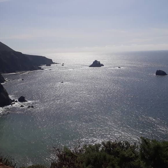 Discover the Splendid View of 17 miles drive at California
