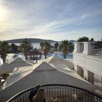 Cocos the Club Solto Recommendation