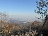 【都内の紅葉】今がまさに見頃！高尾山の紅葉散歩