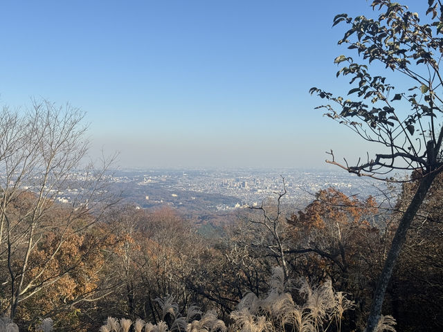 【都内の紅葉】今がまさに見頃！高尾山の紅葉散歩