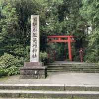 箱根推薦景點｜建於水中的平和鳥居