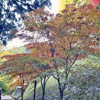大観山展望台+箱根大山お寺