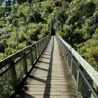 Zealandia Te Māra a Tāne: A Conservation Triumph