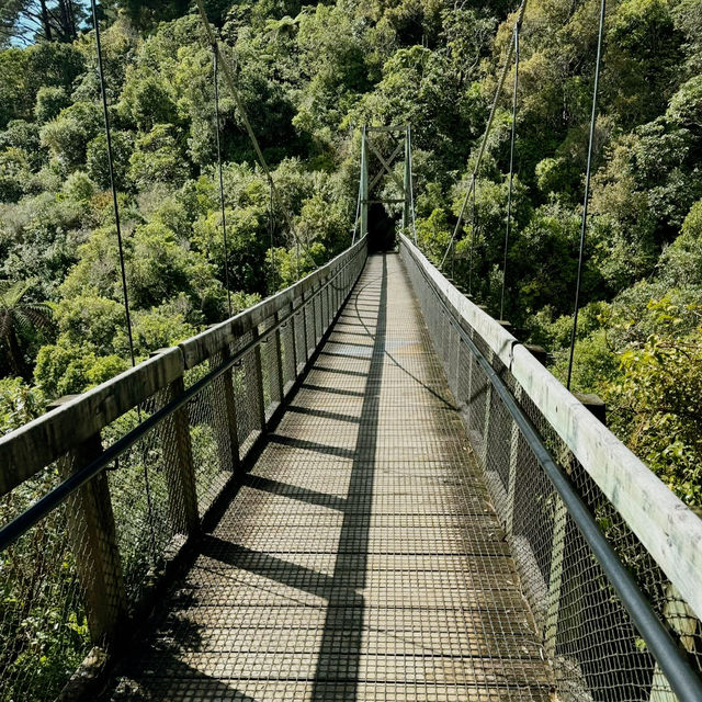 Zealandia Te Māra a Tāne: A Conservation Triumph