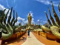 วัดป่าไทรทอง วัดสวยสีทองอร่าม