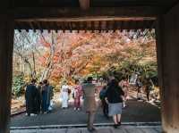 Ryoanji Temple