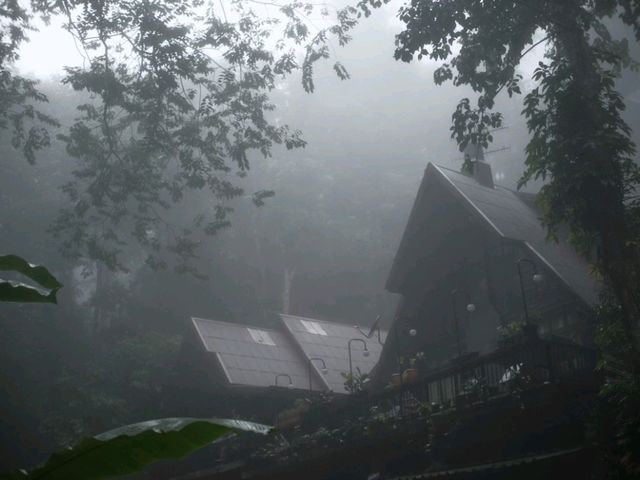 🌦เที่ยวแม่กำปอง 🌦 หน้าฝน