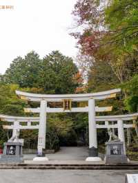 【日本】旅したくなる鳥居スポット5選