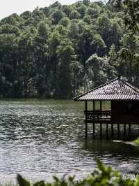 🌿 ทะเลสาบกลางหุบเขา ‘ปางอุ๋ง’ แม่ฮ่องสอน