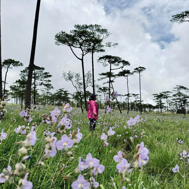 ภูสอยดาว