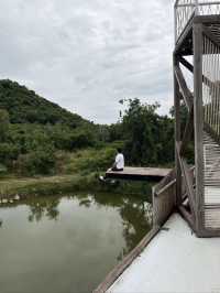 🛶 คาเฟ่ริมทะเลสาบขนาดใหญ่ ⛵ kratom intha