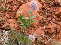 Valley of the Winds: A Kata Tjuta Adventure