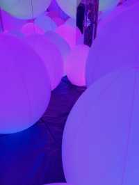 teamLab Forest Fukuoka: Step Into a World of Digital Wonder