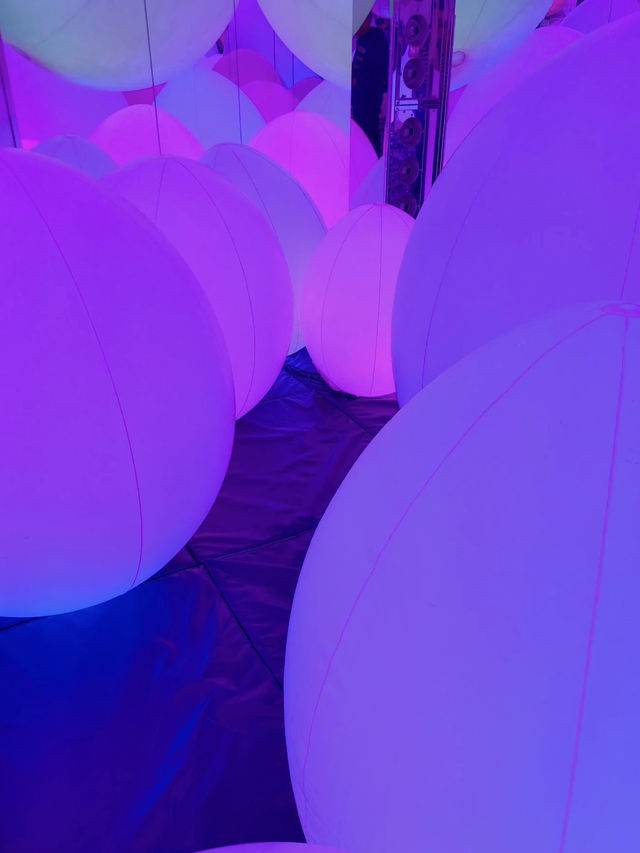 teamLab Forest Fukuoka: Step Into a World of Digital Wonder