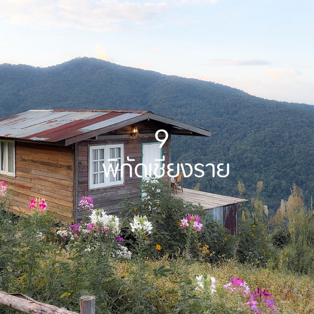 ที่เที่ยวเชียงรายน่าเช็คอิน 2025 ⛰️✨🌲🌅