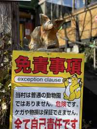 【宮城×冬の旅】間近で見られる100頭以上の放し飼いのキツネ    抱っこ体験も・・