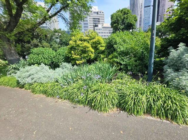 Flagstaff Gardens