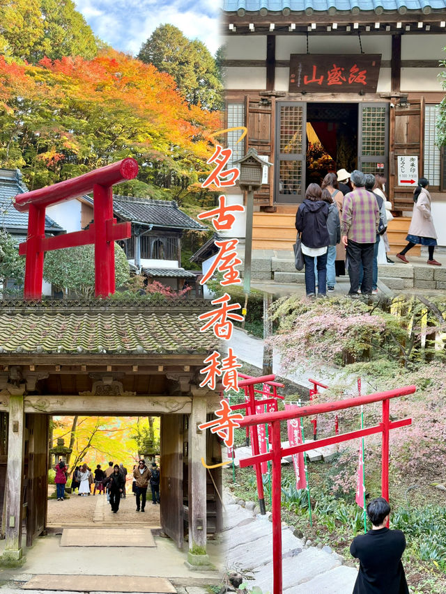 名古屋香積寺-鳥居、寺廟、紅葉與藍天，構成絕美畫面