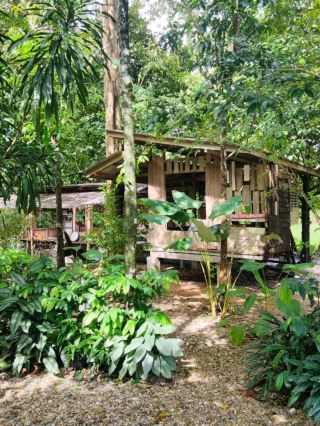 Tea House in the Rainforest Cafe, Phrom Khiri, Nakhon Si Thammarat