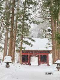 【長野／長野市】雪が降る戸隠神社の杉並木と中社⁡