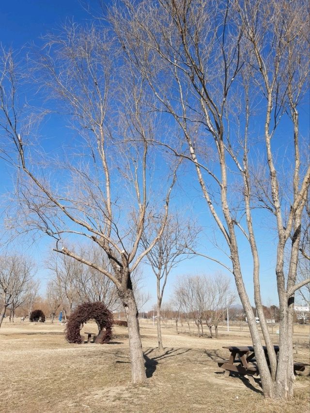 🌿 삼락생태공원, 자연 속에서 힐링하는 시간 🌞