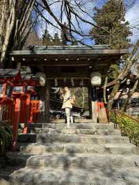 Magnificent Kifune Shrine, Kyoto 🇯🇵