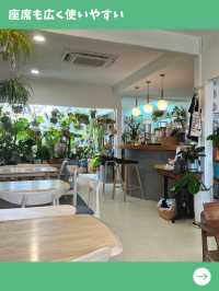 【マレーシア女一人旅】猫店員とゆったり過ごせる癒しの空間！植物溢れるカフェ！