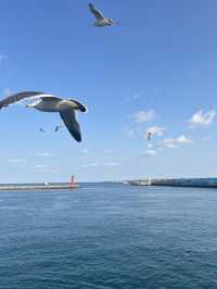 韓國濟州市牛島+城山日出峰一日遊