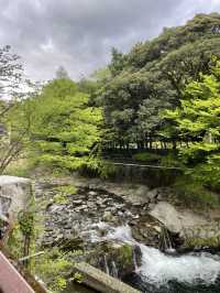 🇯🇵 Shinjuku Gyoen: Tokyo’s Tranquil Garden Escape