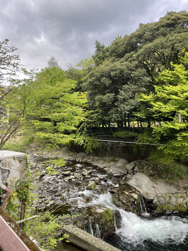 🇯🇵 Shinjuku Gyoen: Tokyo’s Tranquil Garden Escape