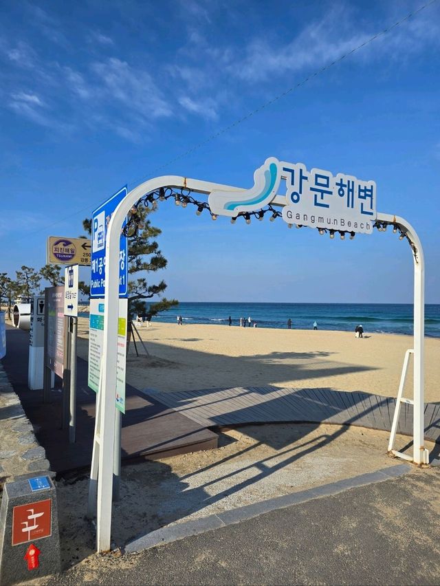 겨울바다의 아름다움이 가득한 강릉해변💙