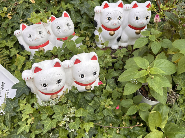 尋找東京🇯🇵招財貓🐱之旅(一)