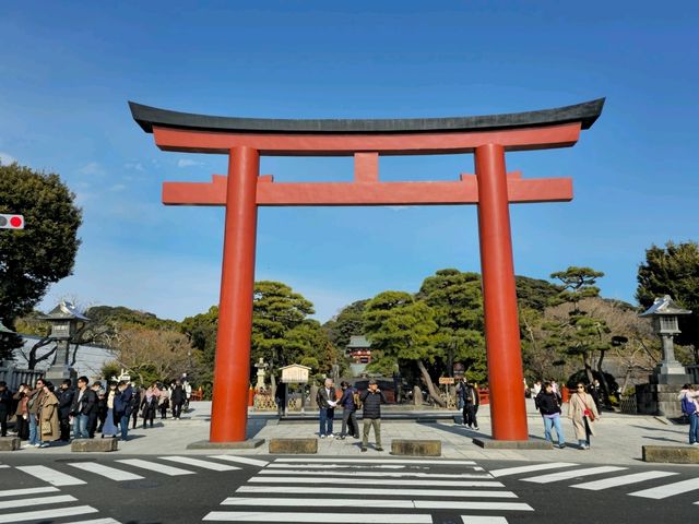 鶴岡八幡宮 遠離大都市煩囂最佳目的地!! 真的巨出片😻😻