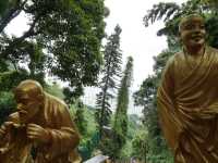 10,000 Buddhas, One Journey: A Peaceful Escape in Sha Tin