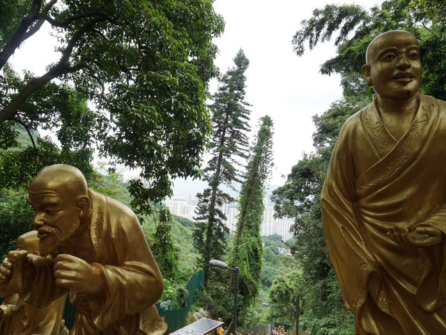 10,000 Buddhas, One Journey: A Peaceful Escape in Sha Tin