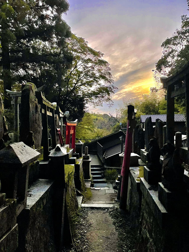 🇯🇵 Kyoto’s Beauty: Rising Sun Above the Crowds