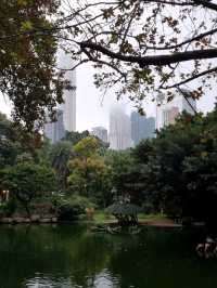 도심 속의 평화로운 공원 : 구룡공원(Kowloon Park)🇭🇰
