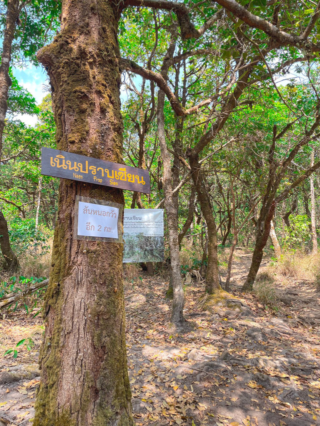 ตะลุยสันหนอกวัว 🗺️🌎
