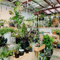 Botanical Bliss at Bar Botanik