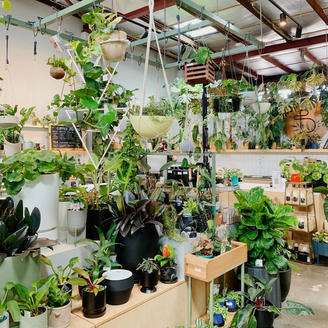 Botanical Bliss at Bar Botanik